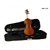 Скрипка HANS KLEIN HKV-2 GW 1/8 купить в Москве: цены, доставка, фото Скрипка HANS KLEIN HKV-2 GW 1/8 купить в Москве: цены, доставка, фото