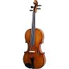 Скрипка Karl Hofner H215-AS-V 4/4 мастеровая, копия Antonio Stradivari 1719 купить в Москве: цены, доставка, фото Скрипка Karl Hofner H215-AS-V 4/4 мастеровая, копия Antonio Stradivari 1719 купить в Москве: цены, доставка, фото