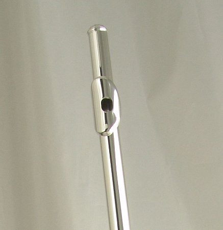 Флейта WISEMANN DFL-385 купить в Москве: цены, доставка, фото Флейта WISEMANN DFL-385 купить в Москве: цены, доставка, фото