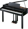ROLAND RG-1F-SB цифровой рояль (компл.) купить в Москве: цены, доставка, фото ROLAND RG-1F-SB цифровой рояль (компл.) купить в Москве: цены, доставка, фото