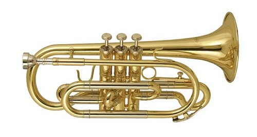 Корнет WISEMANN DCT-650 купить в Москве: цены, доставка, фото Корнет WISEMANN DCT-650 купить в Москве: цены, доставка, фото