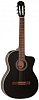 TAKAMINE G-SERIES CLASSICAL GC1-BLK классическая гитара, цвет черный купить в Москве: цены, доставка, фото