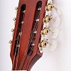 M1089 Irish Bouzouki Бузуки Hora купить в Москве: цены, доставка, фото M1089 Irish Bouzouki Бузуки Hora купить в Москве: цены, доставка, фото
