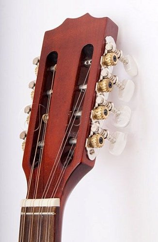 M1089 Irish Bouzouki Бузуки Hora купить в Москве: цены, доставка, фото M1089 Irish Bouzouki Бузуки Hora купить в Москве: цены, доставка, фото