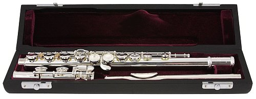 Флейта Trevor James Virtuoso 31VF-ROE купить в Москве: цены, доставка, фото Флейта Trevor James Virtuoso 31VF-ROE купить в Москве: цены, доставка, фото