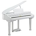 Цифровой рояль Kurzweil KAG100 WHP белый купить в Москве: цены, доставка, фото Цифровой рояль Kurzweil KAG100 WHP белый купить в Москве: цены, доставка, фото