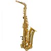 Альт саксофон Trevor James Alphasax 371A ученический для детей купить в Москве: цены, доставка, фото