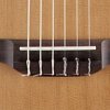 TAKAMINE PRO SERIES 3 P3FCN классическая электроакустическая гитара типа FXC с кейсом, цвет натуральный купить в Москве: цены, доставка, фото TAKAMINE PRO SERIES 3 P3FCN классическая электроакустическая гитара типа FXC с кейсом, цвет натуральный купить в Москве: цены, доставка, фото
