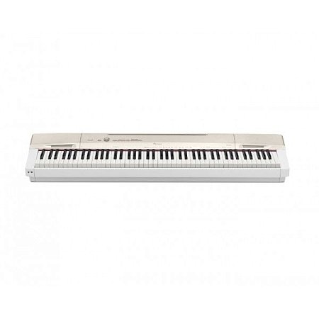 Купить casio privia px-160gd, цифровое фортепиано в магазине Skybeat Купить casio privia px-160gd, цифровое фортепиано в магазине Skybeat