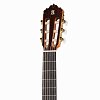 6.770 Flamenco Conservatory 7FC Классическая гитара со звукоснимателем E8, с вырезом, Alhambra купить в Москве: цены, доставка, фото 6.770 Flamenco Conservatory 7FC Классическая гитара со звукоснимателем E8, с вырезом, Alhambra купить в Москве: цены, доставка, фото