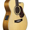 Гитара Maton EBG808C TE купить в Москве: цены, доставка, фото Гитара Maton EBG808C TE купить в Москве: цены, доставка, фото