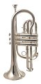 Корнет WISEMANN DCT-650SP купить в Москве: цены, доставка, фото Корнет WISEMANN DCT-650SP купить в Москве: цены, доставка, фото