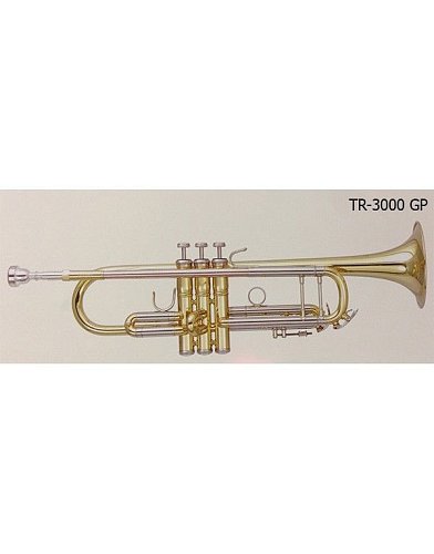 Труба ‘’Bb” BRAHNER TR-3000GP купить в Москве: цены, доставка, фото Труба ‘’Bb” BRAHNER TR-3000GP купить в Москве: цены, доставка, фото