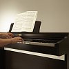 Kawai KDP90 цифровое пианино/Цвет палисандр матовый купить в Москве: цены, доставка, фото Kawai KDP90 цифровое пианино/Цвет палисандр матовый купить в Москве: цены, доставка, фото