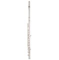 Флейта C Selmer Aristocrat FL600E купить в Москве: цены, доставка, фото Флейта C Selmer Aristocrat FL600E купить в Москве: цены, доставка, фото