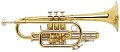 Корнет Bb BACH 181ML Stradivarius купить в Москве: цены, доставка, фото Корнет Bb BACH 181ML Stradivarius купить в Москве: цены, доставка, фото