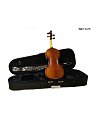Скрипка HANS KLEIN HKV-2 GW 1/8 купить в Москве: цены, доставка, фото Скрипка HANS KLEIN HKV-2 GW 1/8 купить в Москве: цены, доставка, фото