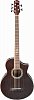 IBANEZ EWB205WNE-NT пятиструнная полуакустическая бас-гитара купить в Москве: цены, доставка, фото