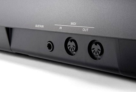 YAMAHA NP-31 цифровое пианино 76 клавиш цвет корпуса чёрный/без адаптера (PA-150A) купить в Москве: цены, доставка, фото YAMAHA NP-31 цифровое пианино 76 клавиш цвет корпуса чёрный/без адаптера (PA-150A) купить в Москве: цены, доставка, фото