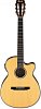 IBANEZ AEG10NII-NT гитара электроакустическая с нейлоновыми струнами купить в Москве: цены, доставка, фото