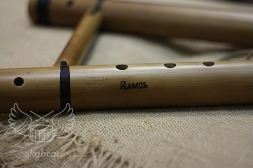 Пимак Ramos G duo продажа в Москве Пимак Ramos G duo купить в Москве: цены, доставка, фото